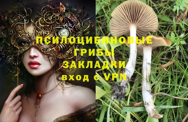 мяу мяу мука Богородск
