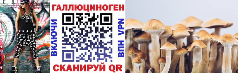 Купить закладки  Зеленогорск  Псилоцибиновые грибы Psilocybe 